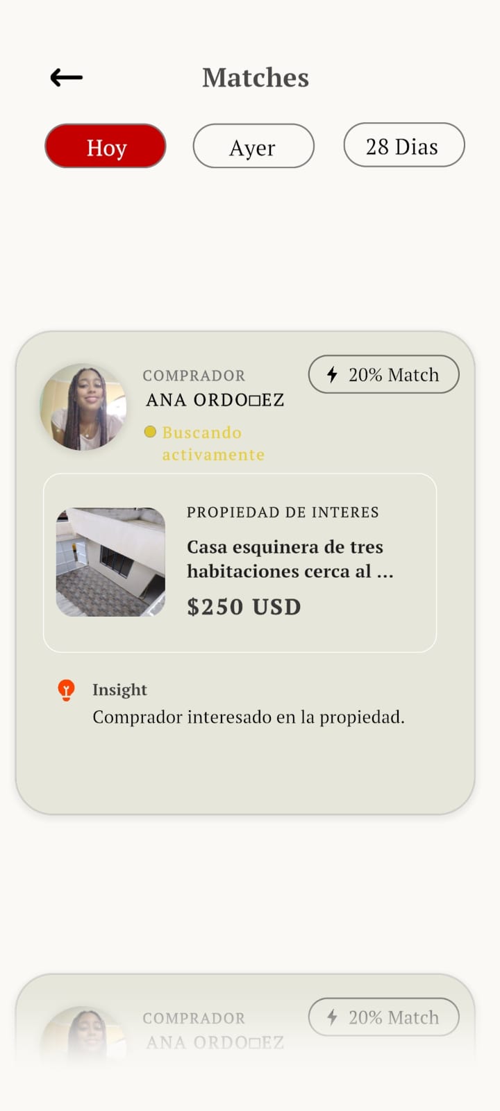 Lead de usuario